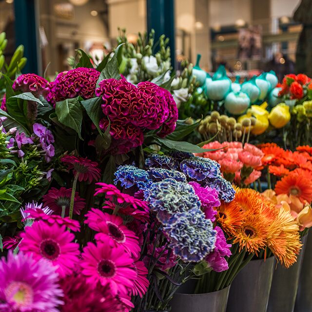 Mayfair florist flowers