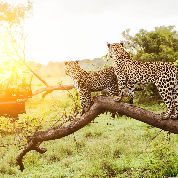 Zoo Case Study-General Purpose