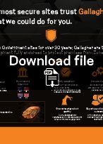 High Security Flyer download image-General Purpose High Security Flyer download image-General Purpose